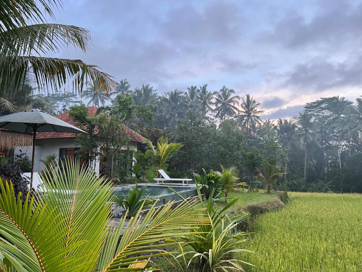 Uma Mupu Retreat Villa Payangan Dış mekan fotoğraf