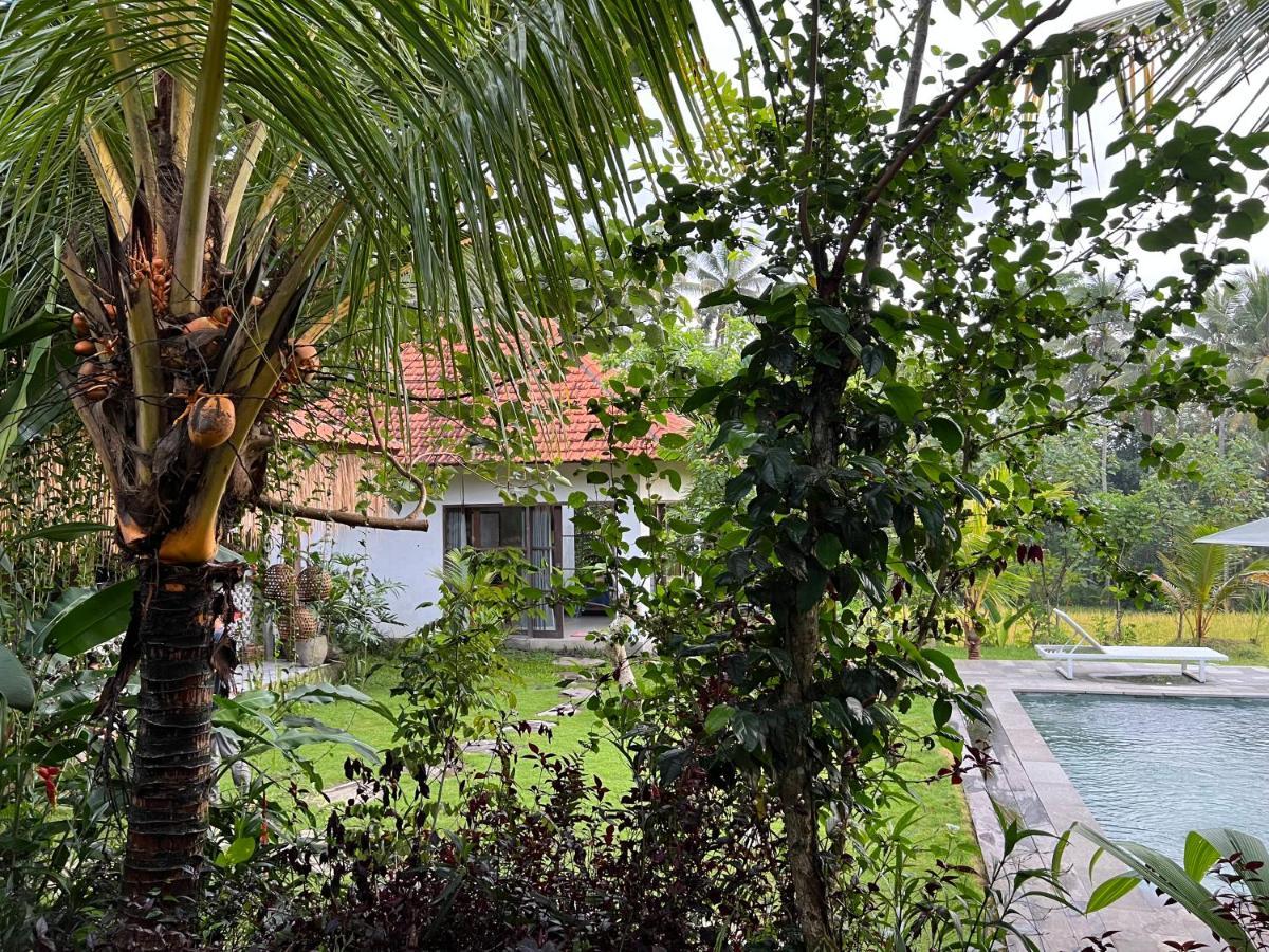 Uma Mupu Retreat Villa Payangan Dış mekan fotoğraf