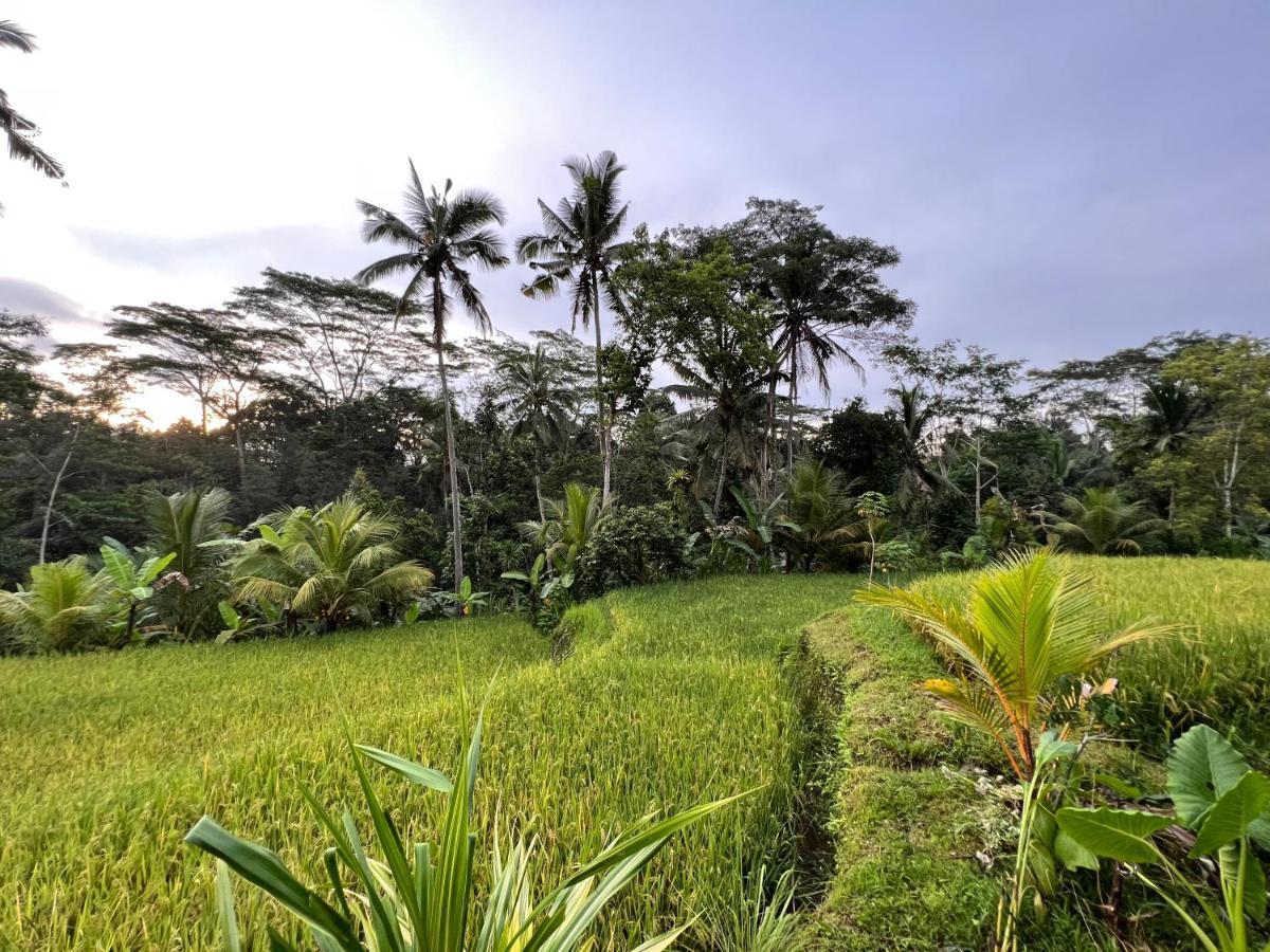 Uma Mupu Retreat Villa Payangan Dış mekan fotoğraf